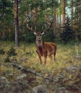 Stag In The Woods