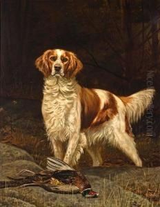 An English Setter In A Field