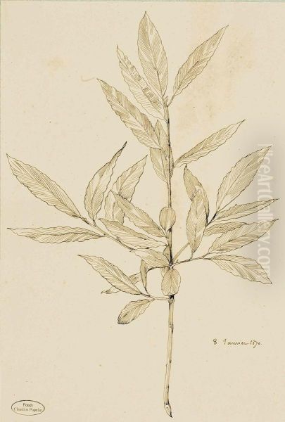 Neuf Etudes De Plantes Et Feuillages - view 1
