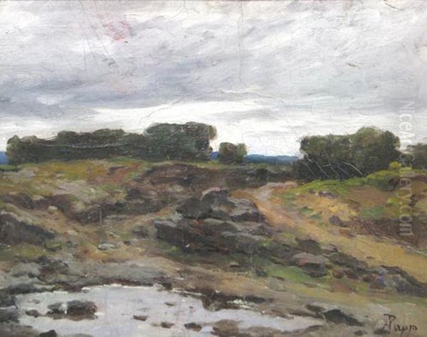 Landscape - view 1