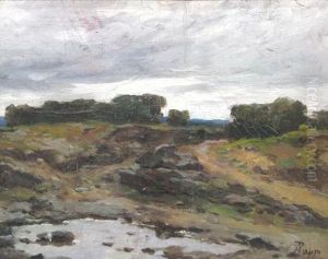 Landscape by Alexandru Popp
