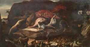 Natura Morta Con Pesci E Conchiglie by Paolo Porpora