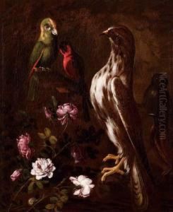 Falco, Pappagalli, Rose Elumaca by Paolo Porpora