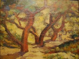 Olive Trees