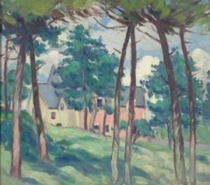 Among The Pine