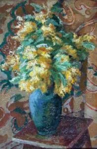 Mimosa Mimosa