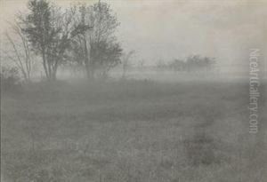 Untitled (field In Fog) Untitled (field In Fog)