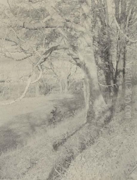 Untitled - view 1