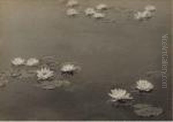 Water Lilies - view 1