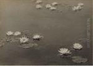 Water Lilies by William B. Post
