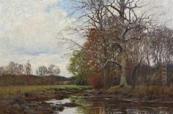 Stream In Autumn - view 1