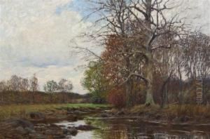 Stream In Autumn