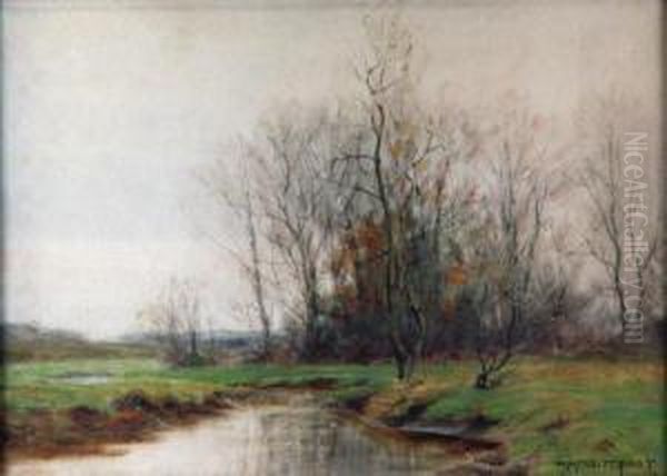 Falllandscape - view 1