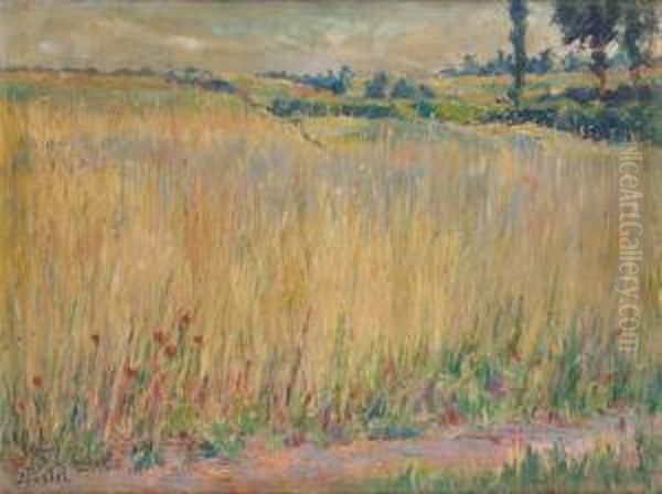 Fenaison - view 1