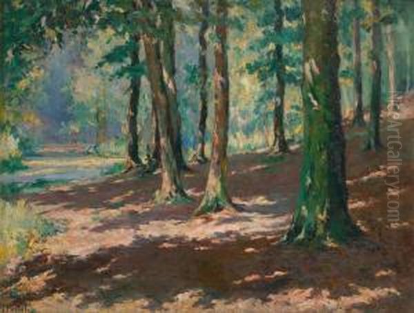 Foret De Soignes Aboitsfort - view 1