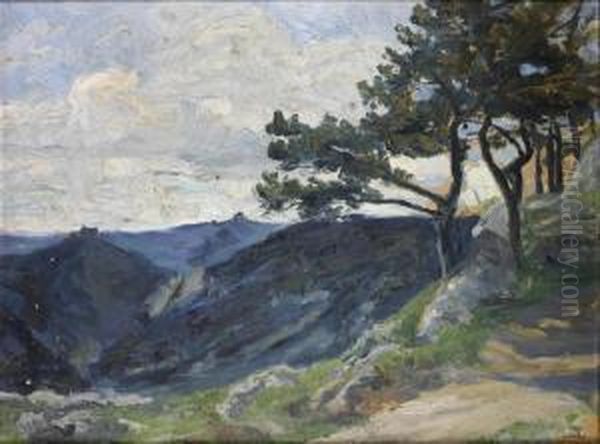 Hugellandschaft - view 1