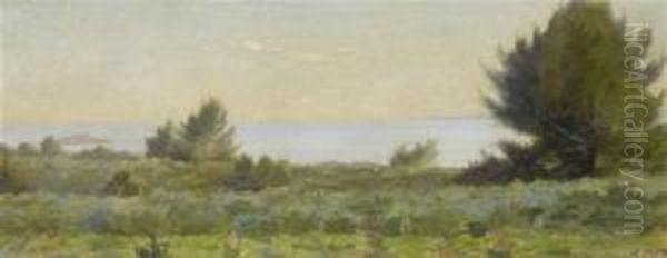 Lake Landscape. - view 1