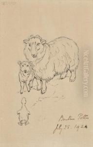A Ewe And Lamb Meet A Duckling by Helen Beatrix Potter