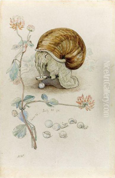A Snail And Its Young - view 1
