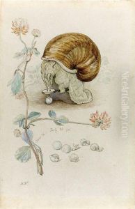 A Snail And Its Young by Helen Beatrix Potter
