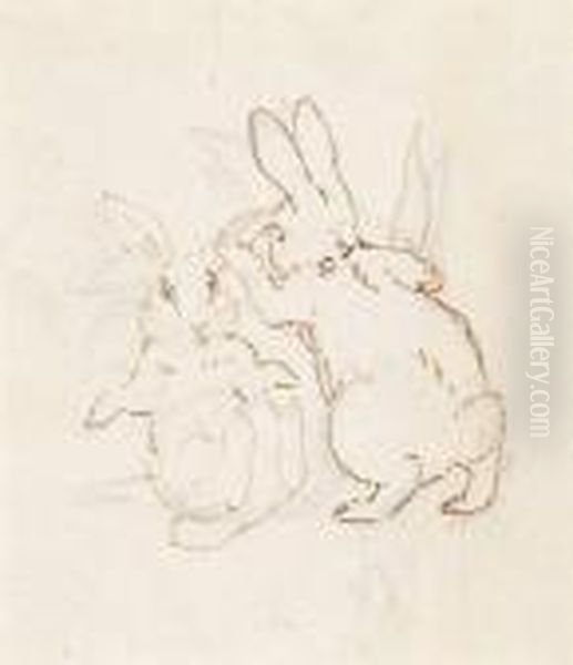 The Fierce Bad Rabbit - view 1