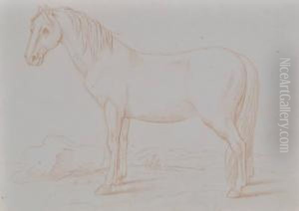 Horse - view 1