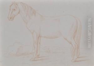 Horse Horse