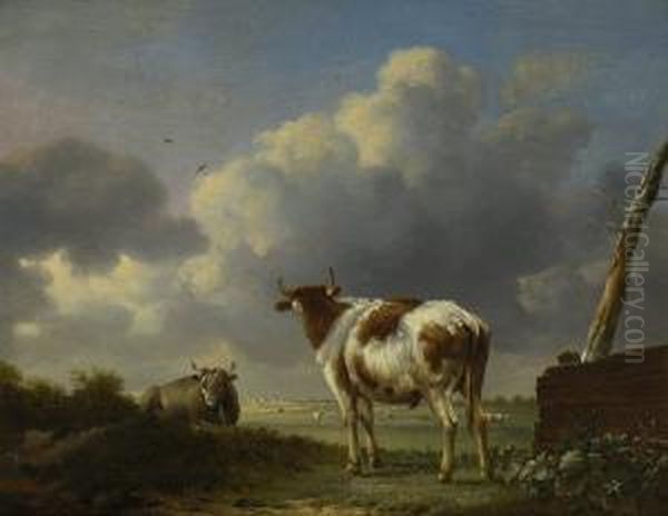 Zwei Rinder Beim Gatter Auf Der Weide - view 1