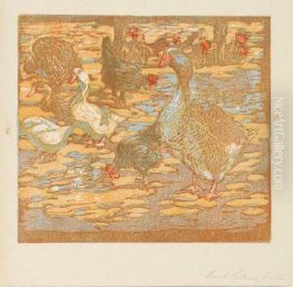 Wasservogel Und Huhner - view 1