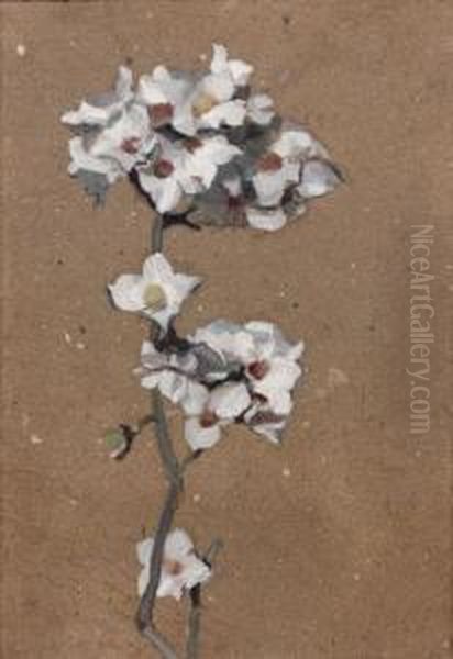 Branche De Fleurs Blanches - view 1