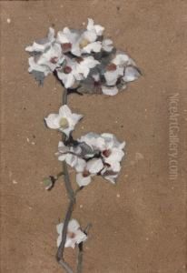 Branche De Fleurs Blanches by Eugene Robert Pougheon