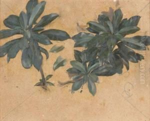 Etudes De Feuilles Vertes by Eugene Robert Pougheon