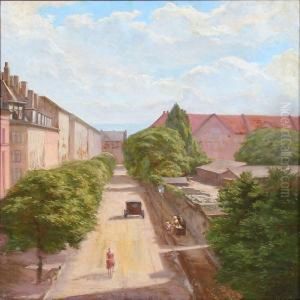 Street Scene With Green Trees And Sunshine