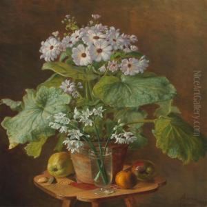 Still Life With "cineraria". by Anina Poulsen