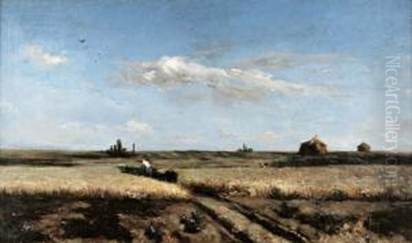 Seara - view 1