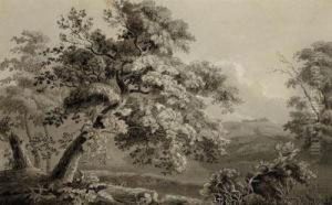 Paisaje