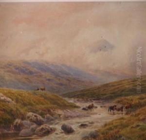 Moorland Landscape With Cattle