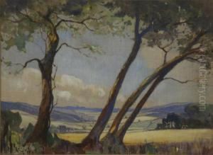The Chilterns Near Henley