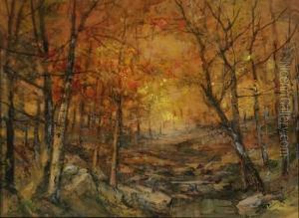 Path In An Autumn Forest - view 1