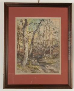 Rock Creek Park by Lucien Whiting Powell