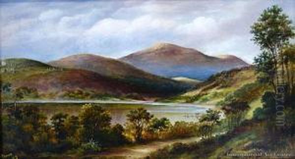 Pelichet Bay North Dunedin - view 1