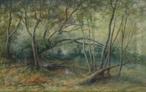 The Waterhole