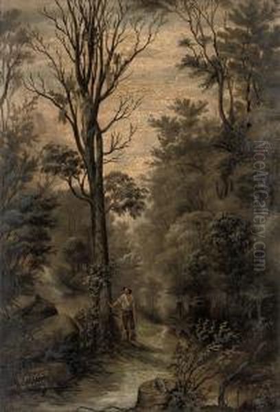 Woodman In A Forest, New Zealand - view 1