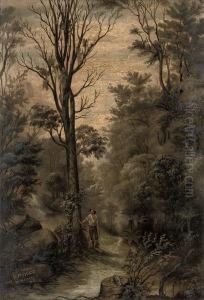 Woodman In A Forest, New Zealand