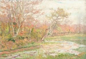 Bord De Riviere Au Printemps by Jacinthe Pozier