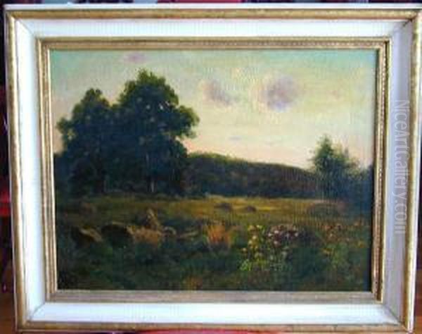 Landscape - view 1