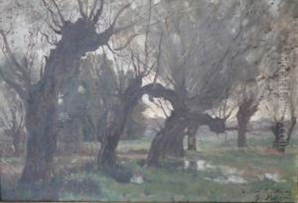 Les Saules En Bord De Riviere - view 1