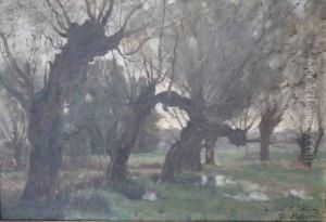 Les Saules En Bord De Riviere by Jacinthe Pozier