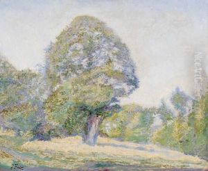 Le Bois D'amour A Pont Aven, Circa 1900