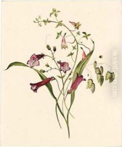 A Penstemon, Possibly Larkspur And Great Quaking Grass by Pieter Ernst Hendrik Praetorius